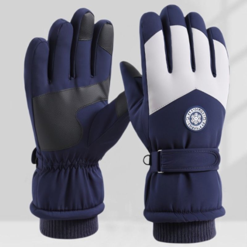 Arctic Ski Gloves